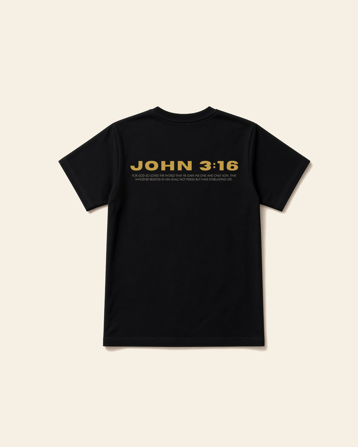 John 3:16 - Adult Heavyweight Cotton Tee, black, back