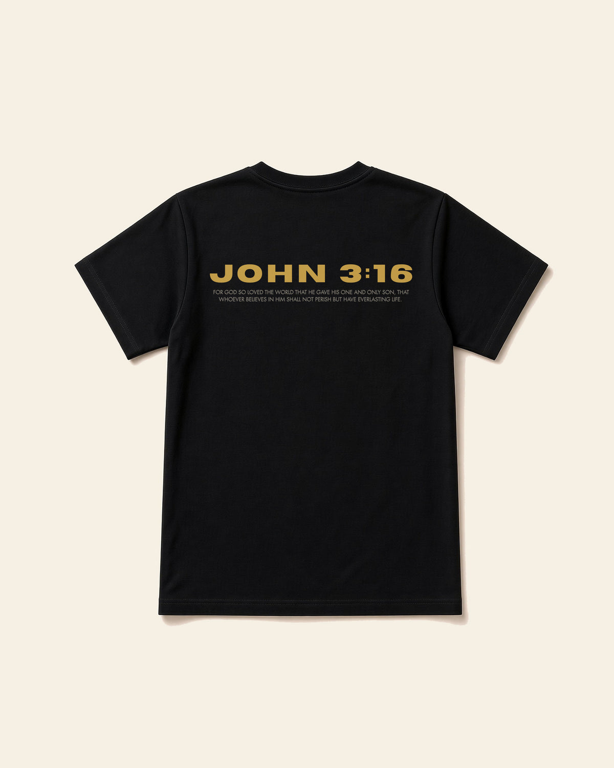 John 3:16 - Adult Everyday Cotton Tee, black, back