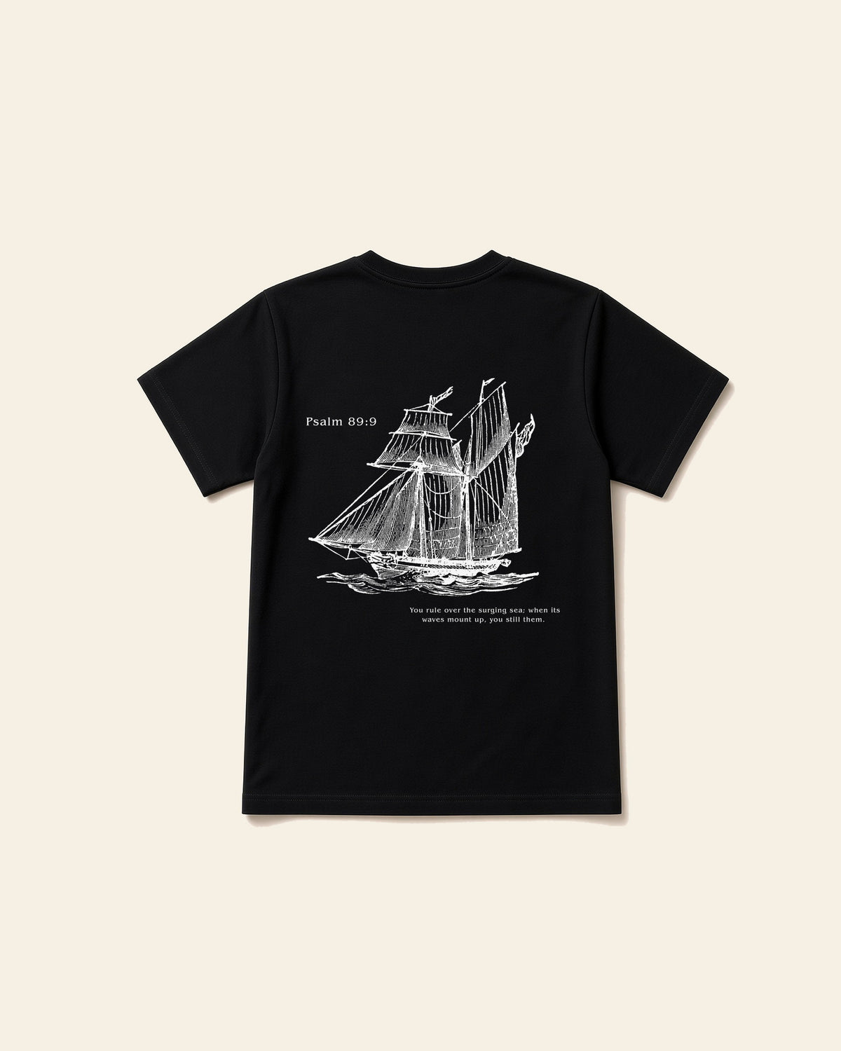 Psalm Boat - Adult Heavyweight Cotton Tee, black, back