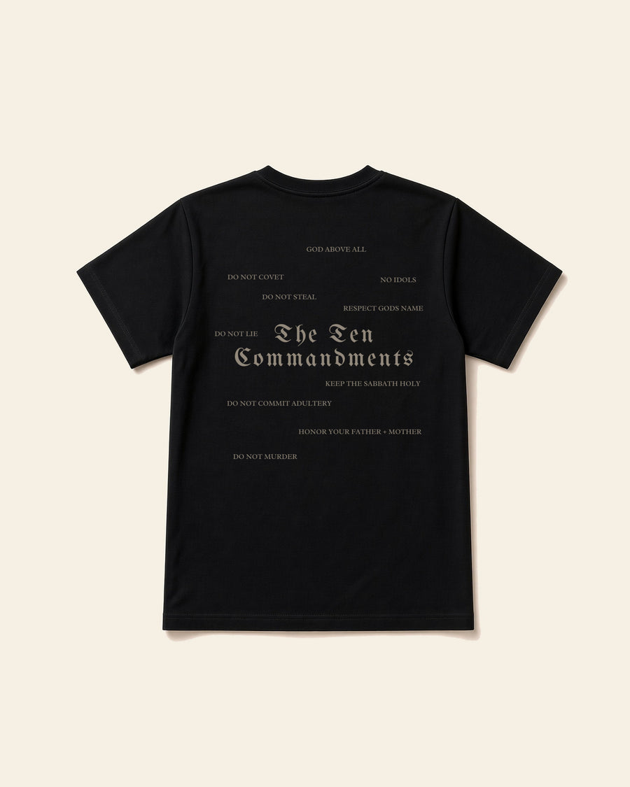 Ten Commandments - Adult Everyday Cotton Tee, black, back