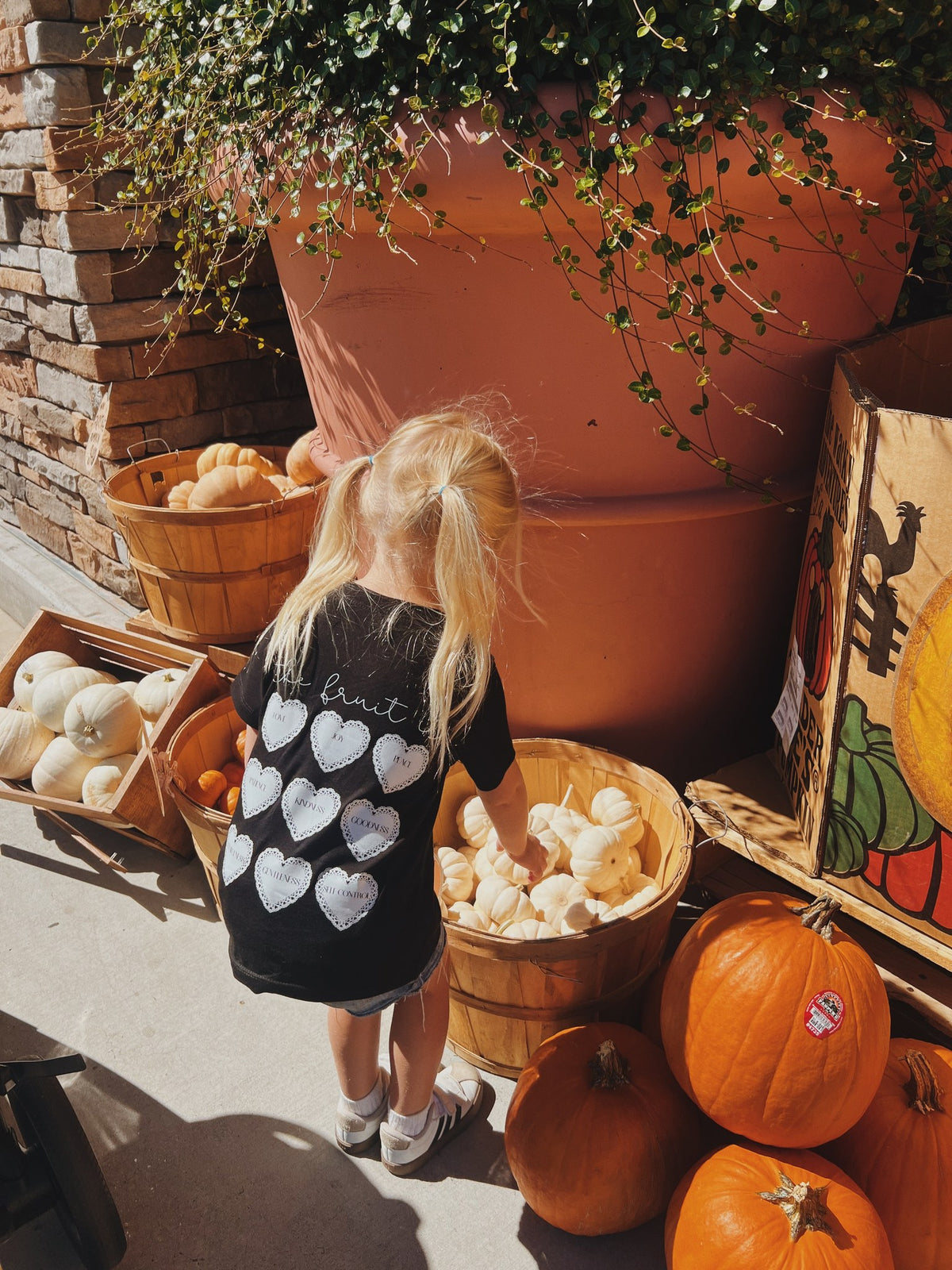 Fruit of the Spirit - Toddler Organic Cotton Tee, black, worn